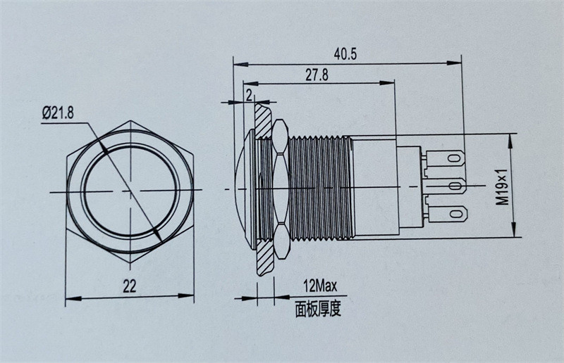 NL19-11P Button switch