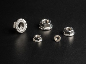 Stainless Steel Flange nuts