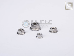 Stainless Steel Flange Nuts