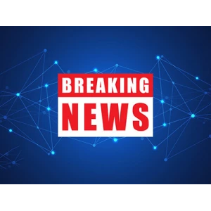 What are some common problems and maintenance recommendations for drive shaft rubber bushings?