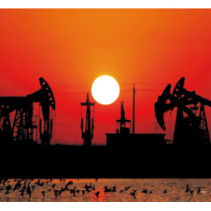 Fluororubber compound rubber, premixed rubber series FKM series