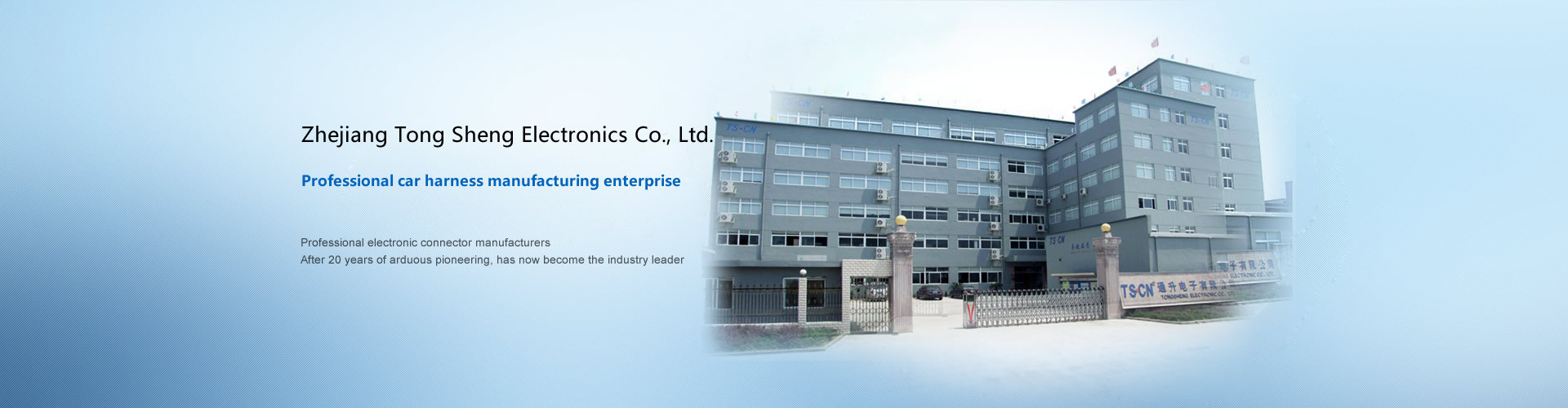 Zhejiang Tong Sheng Electronics Co., Ltd.