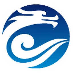 Chongqing Longyin Sealing Technology Co., Ltd.