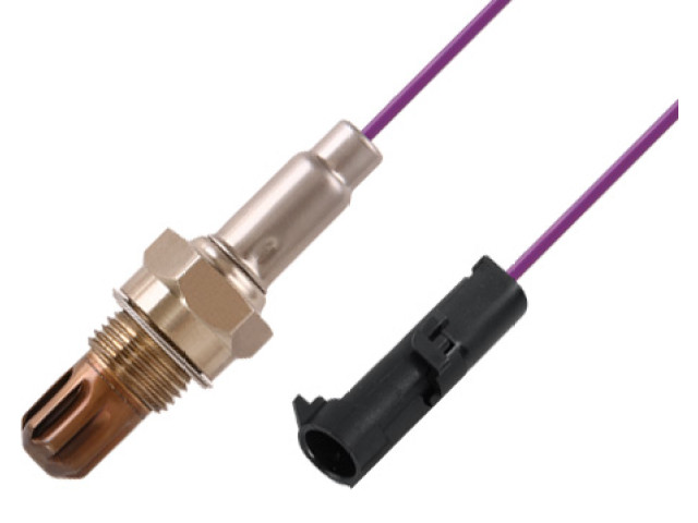 Thimble oxygen sensor without heater