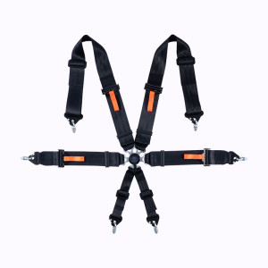 Customization of seat belts and safety equipment