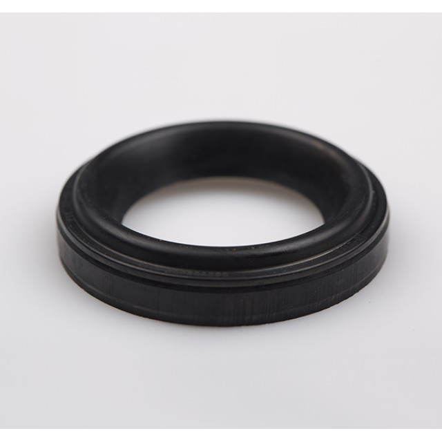 Ignition coil oil seal