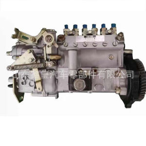 Fuel injection pump assembly WG1246080050