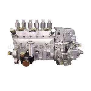 TH Injector Assembly VG1246080150