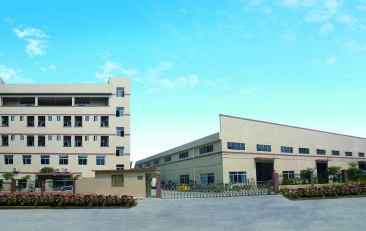 Company Profile