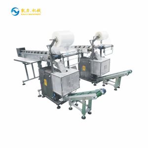 Transmission Type Packing Machine