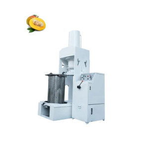 Mango Seed Oil Making Machine