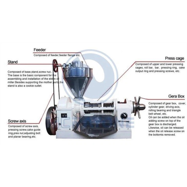 Screw Oil Pressing Machine