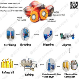 What Machinery Is Needed To Produce Palm Oil