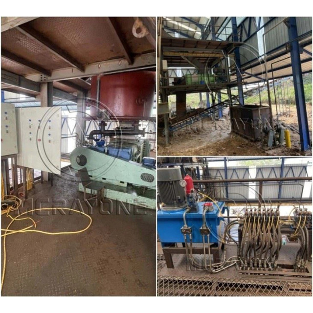 Specific Steps Of Palm Production Line