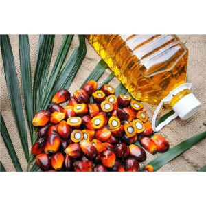 Palm Oil Production Line
