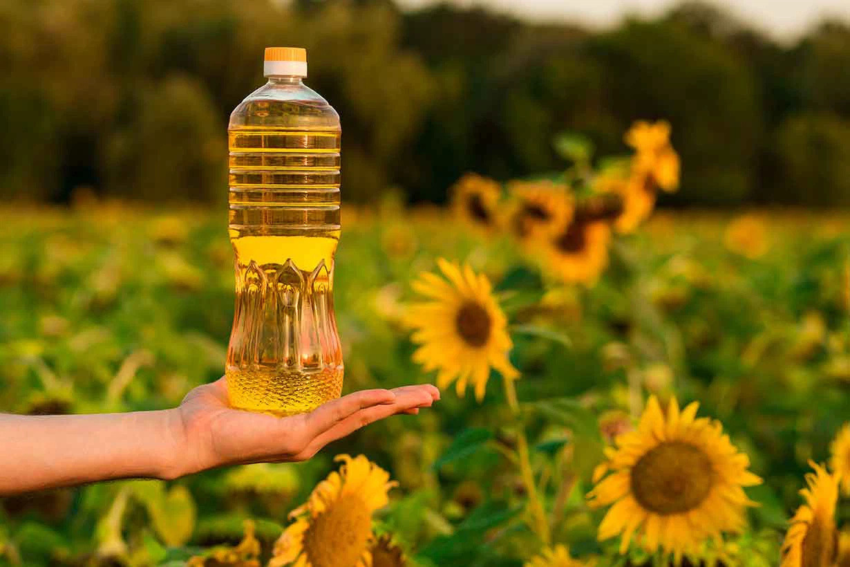 hand-holding-bottle-of-sunflower-oil-with-sunflower-field-in-background