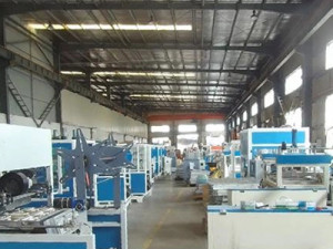 One Step Blister Thermoforming Machine Line