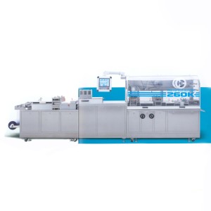 DPP-260K Flat-type Rapid Blister Packaging Machine