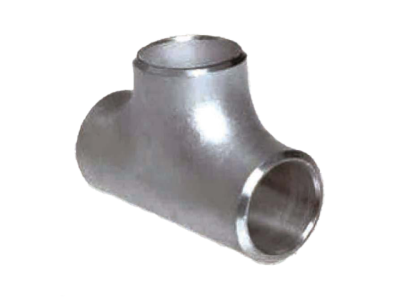 Stainless Steel Fittings