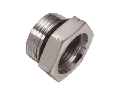 Forged Fittings