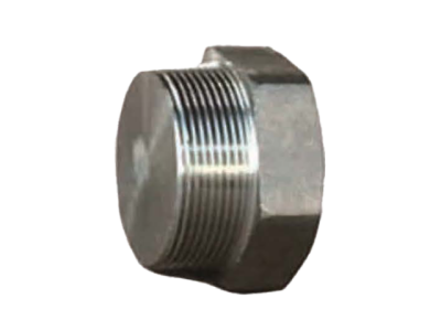 Forged Fittings
