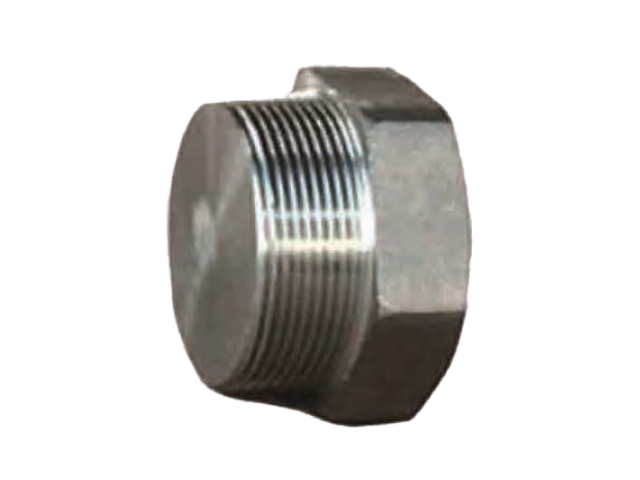Forged Fittings