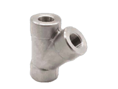 Forged Fittings