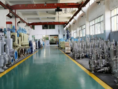 Workshop for safety valve