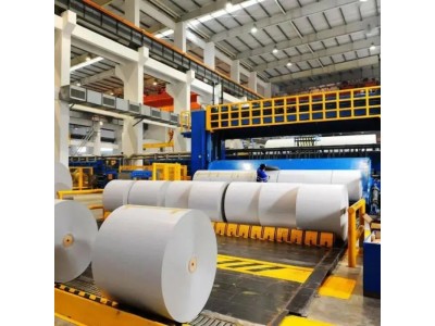Pulp & Paper