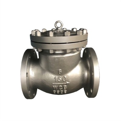 Check Valve