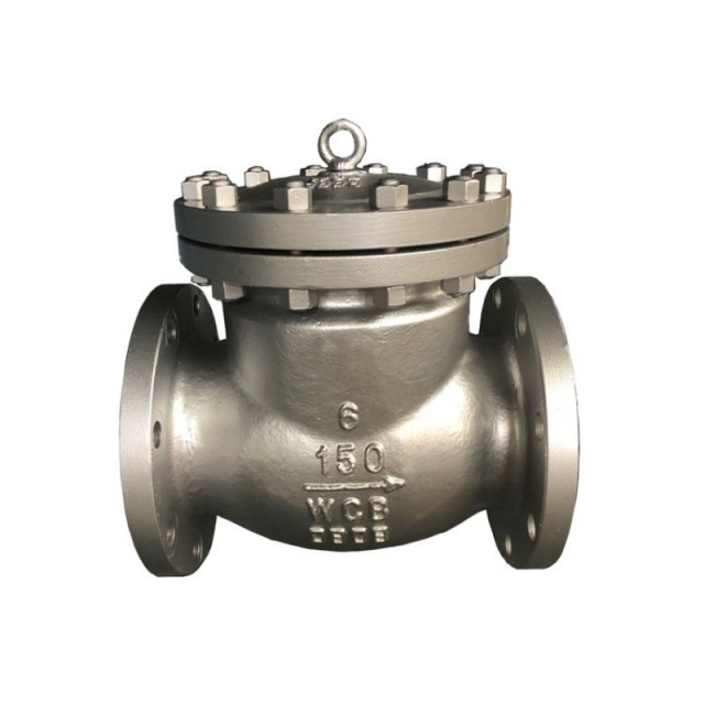 Check Valve
