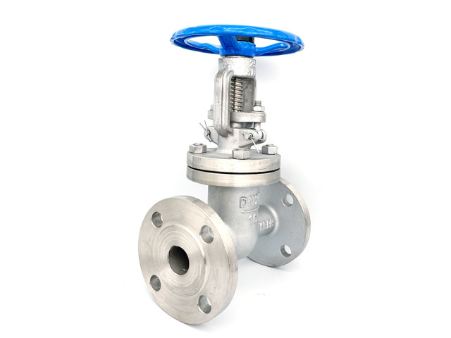 Flanged globe valve