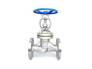 Flanged globe valve