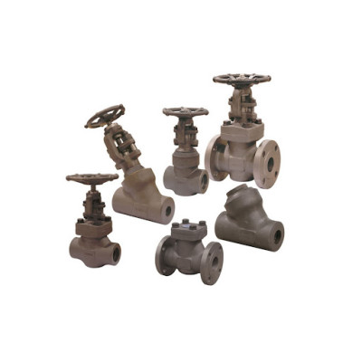 Forged valves