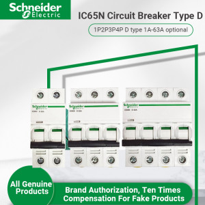 Schneider MCB IC65/IC60 Series