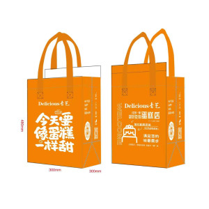 Insulated delivery bag