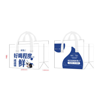 Insulated delivery bag
