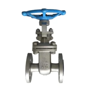 API Stainless Steel Gate Valve