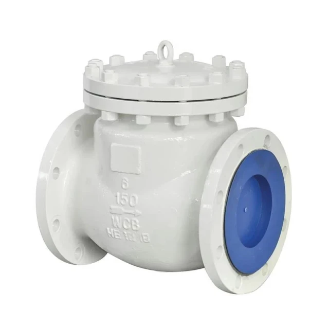 API Check Valve