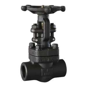 Forged Steel Thread Globe Valve