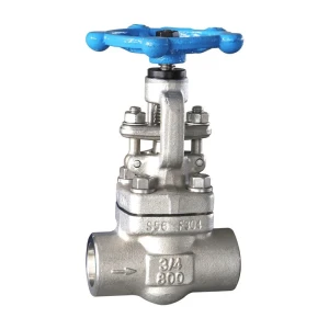 Forged Steel Butt Welded Globe Valve