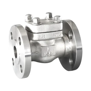 Forged Steel Flanged Check Valve