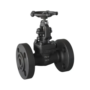 Forged Steel Flanged Globe Valve