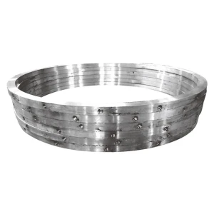 Large diameter flange