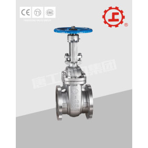 ANSI FLANGED END STAINLESS STEEL GATE VALVE