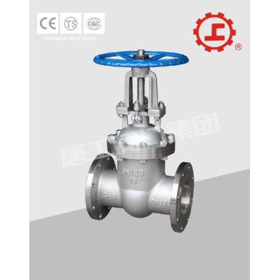 FLANGED END STAINLESS STEEL GATE VALVE