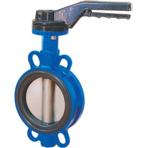 Fluorine-Lined Valves