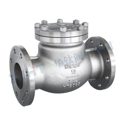 H44W Titanium Check Valve