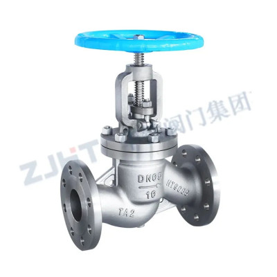Zirconium globe valve