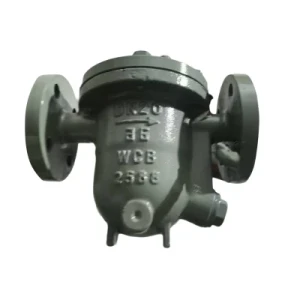 Steam Trap